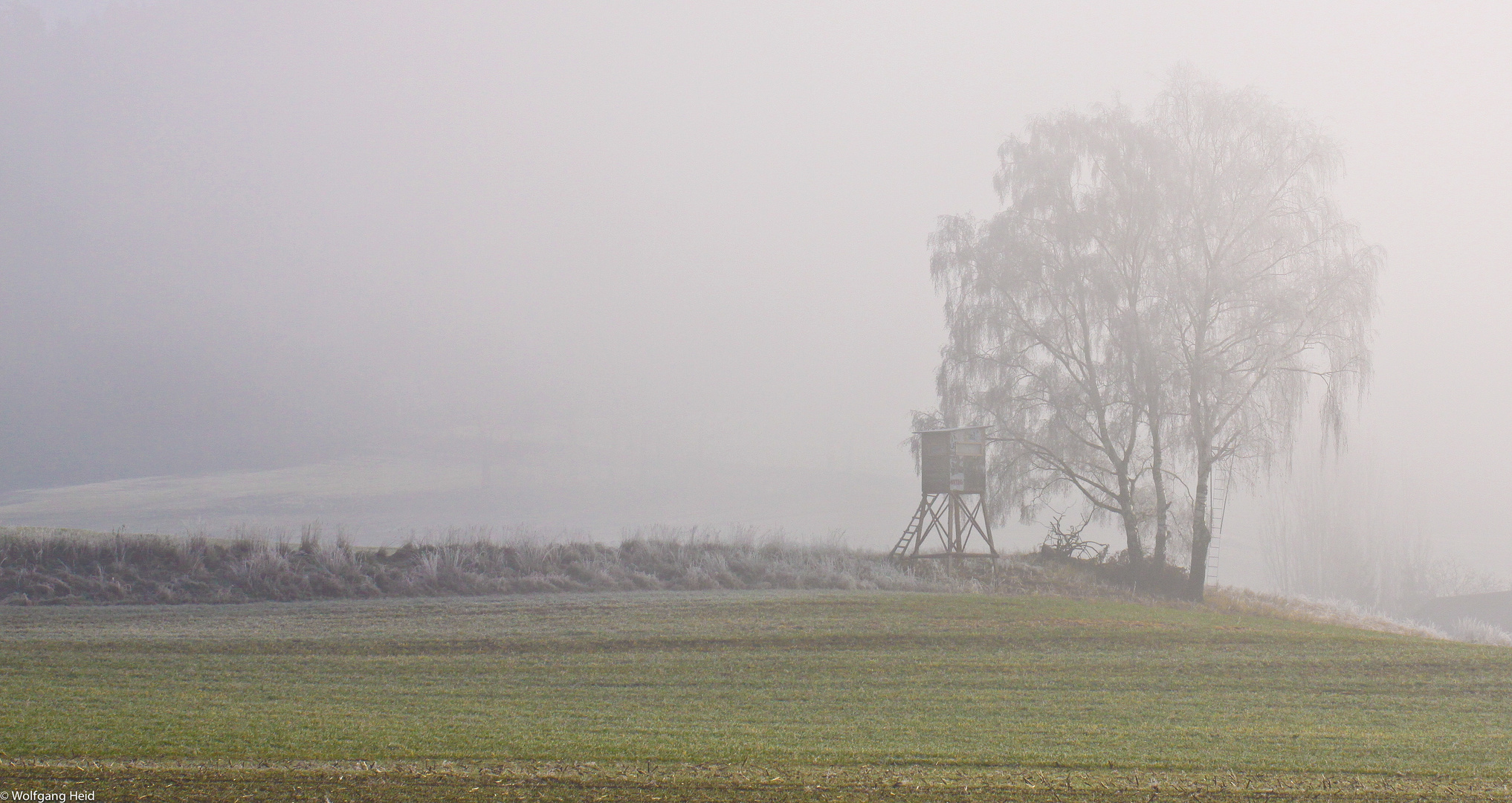 Nebel