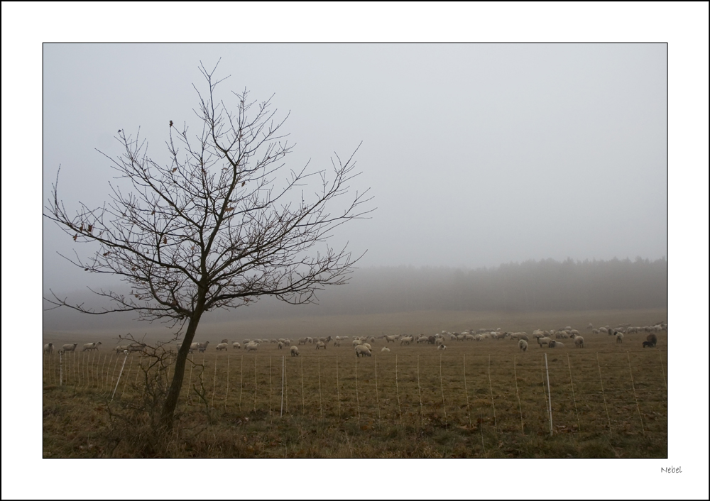 Nebel