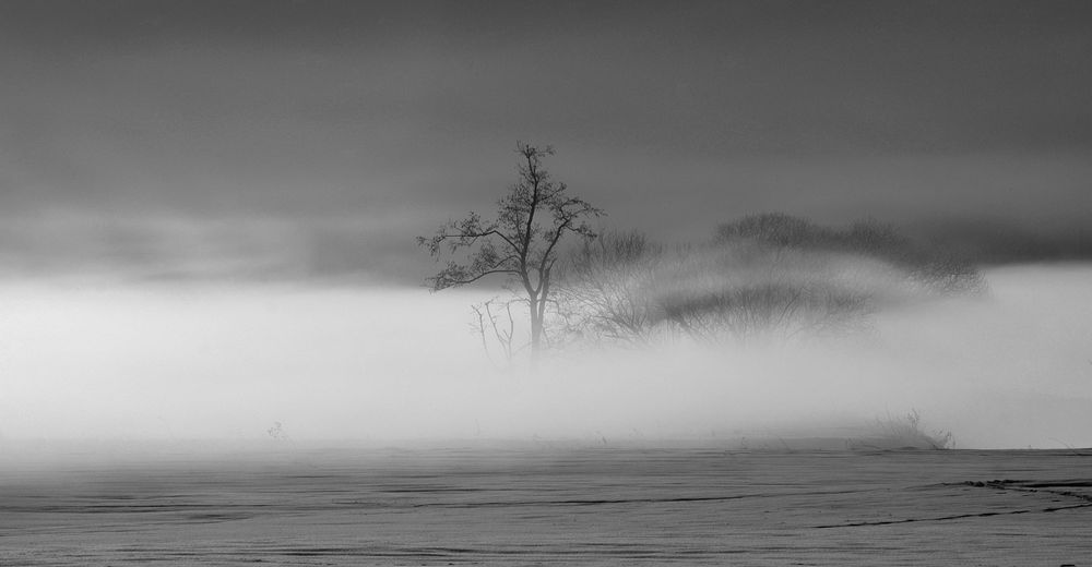 Nebel by Klaus Rohn 