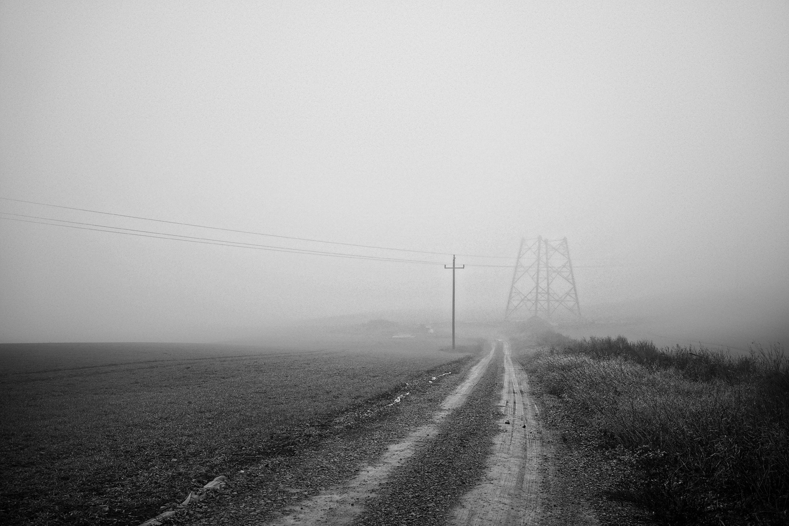 Nebel