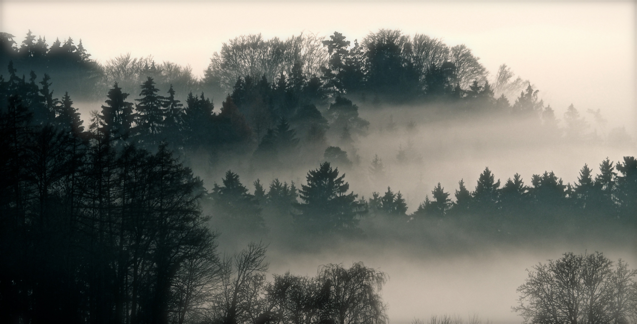 Nebel Foto & Bild nebelstimmungen, wetter, natur Bilder auf