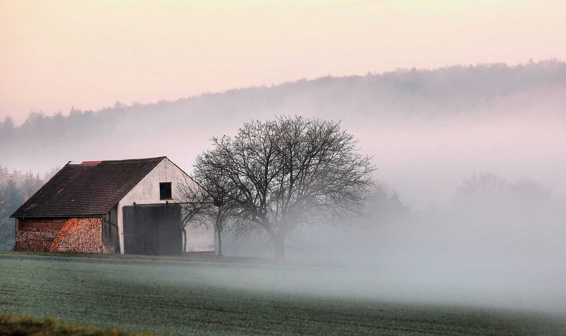 Nebel.....