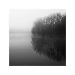 [ Nebel ]