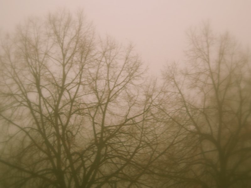 nebel