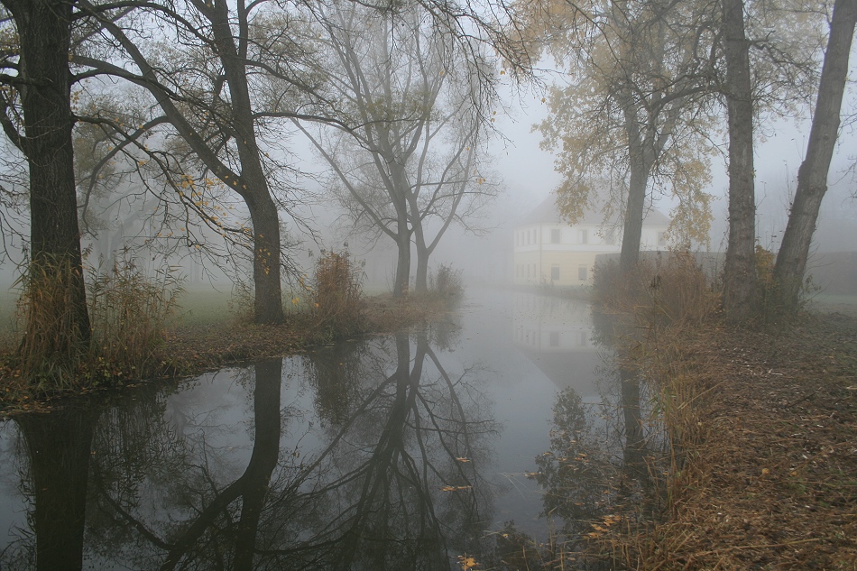 Nebel