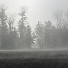 Nebel