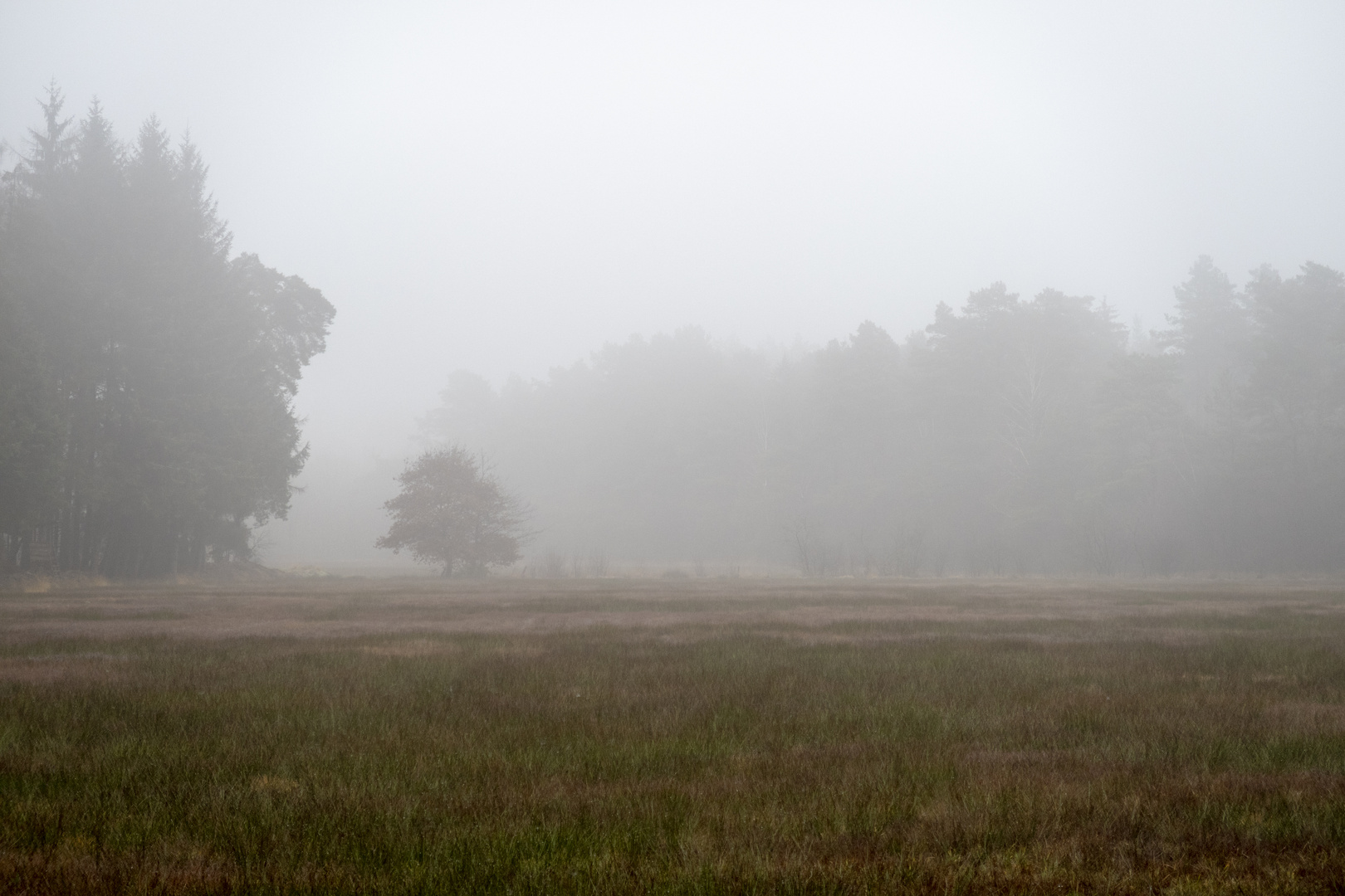 Nebel Foto & Bild | landschaft, jahreszeiten, moor Bilder auf fotocommunity