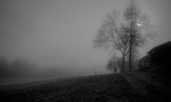 Nebel