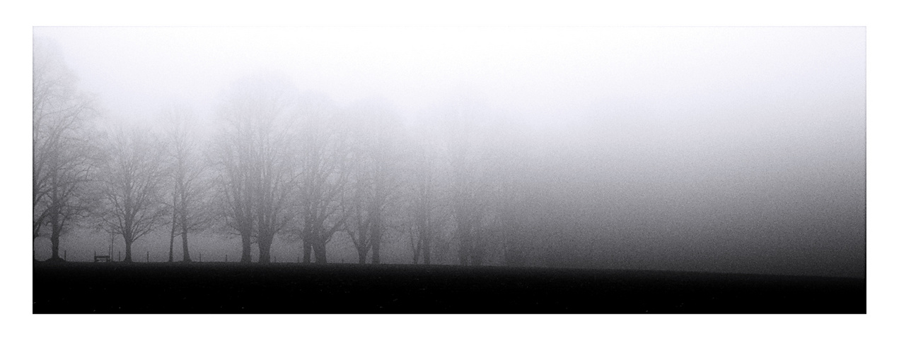 Nebel