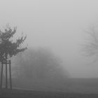 Nebel