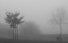 Nebel