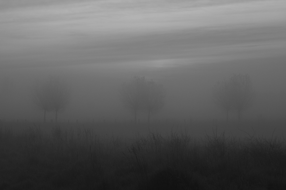 NEBEL...