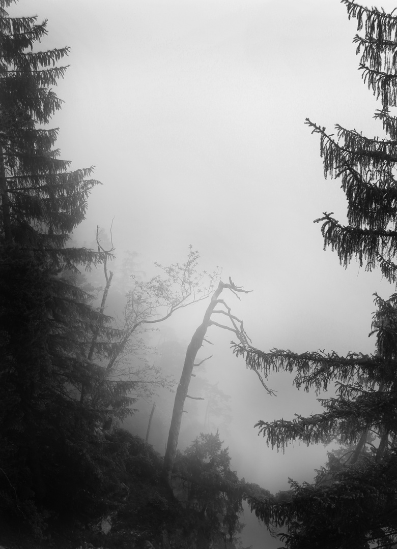 Nebel