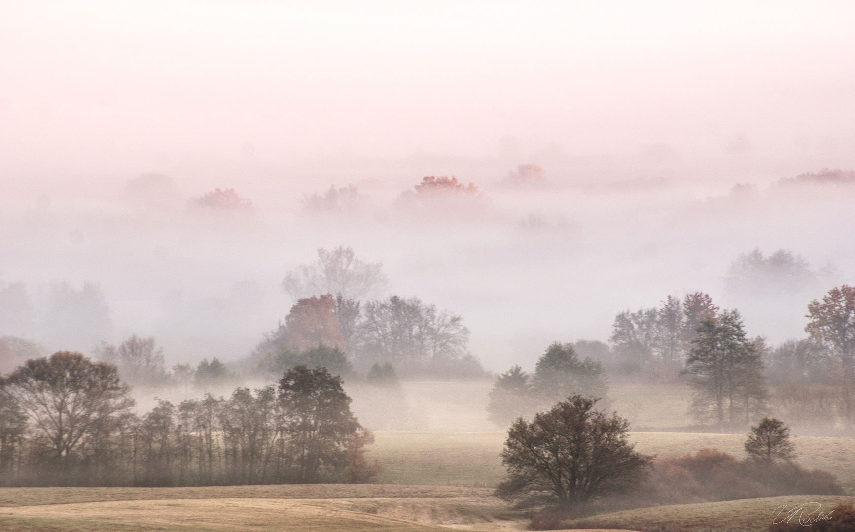 nebel