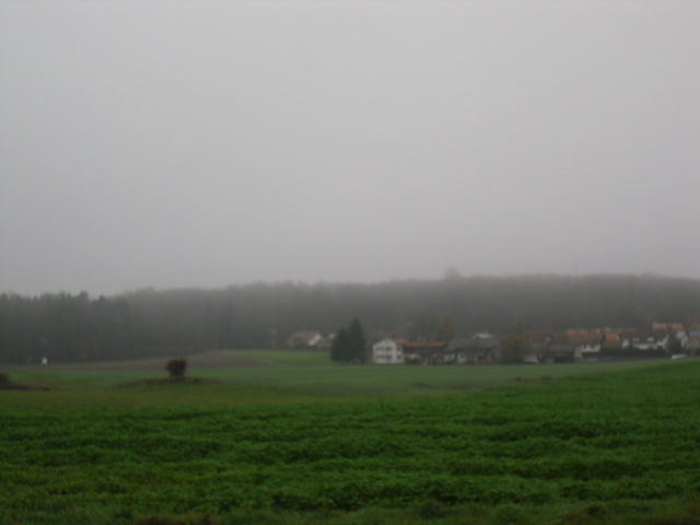 nebel