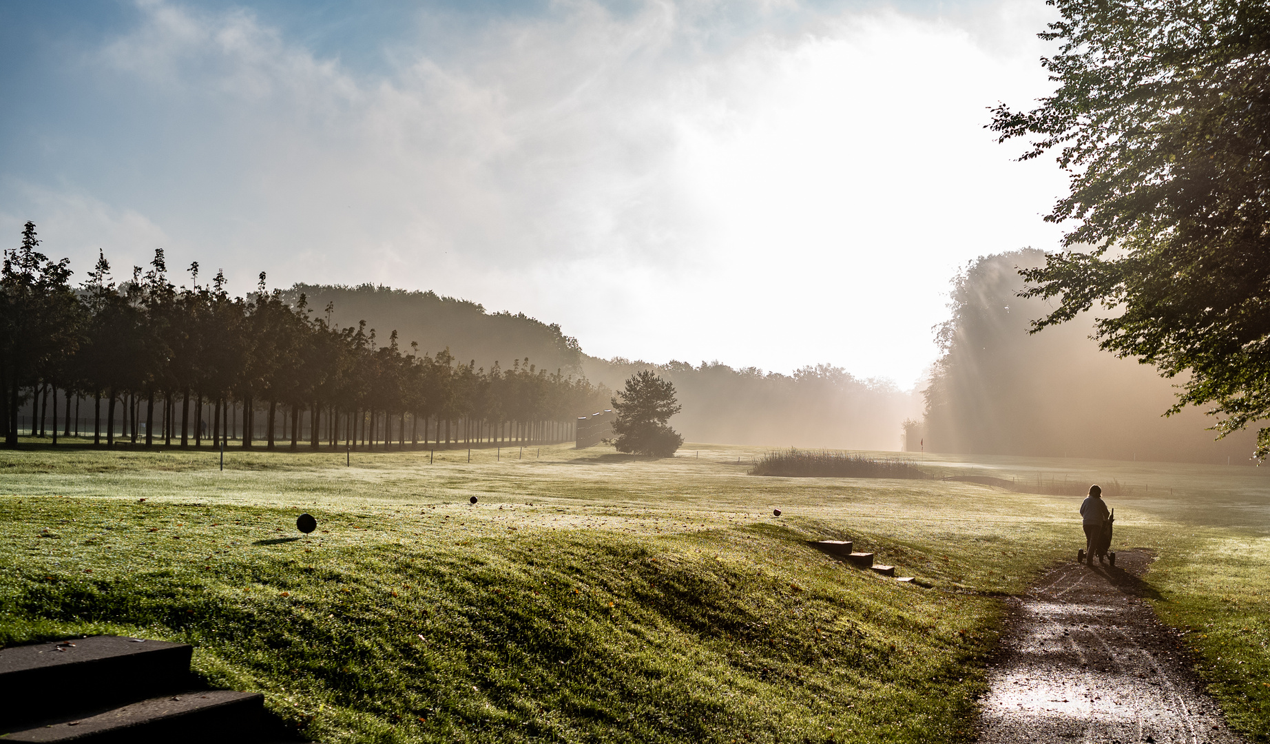 Nebel , Allee , Golf...