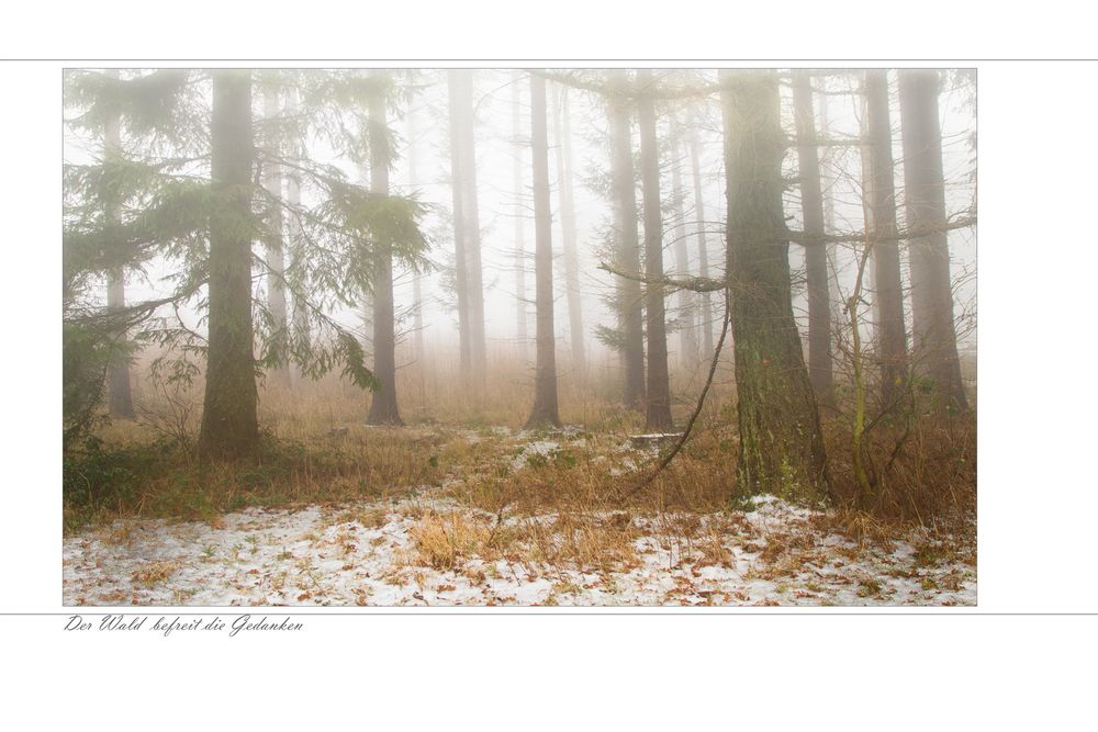 Nebel alles verhüllt