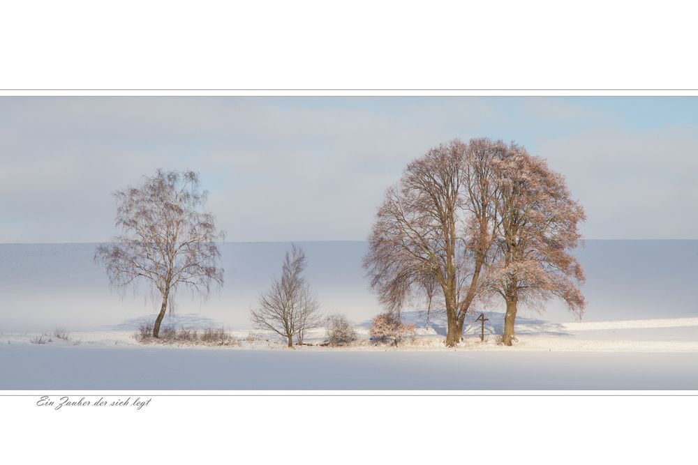 Nebel alles verhüllt