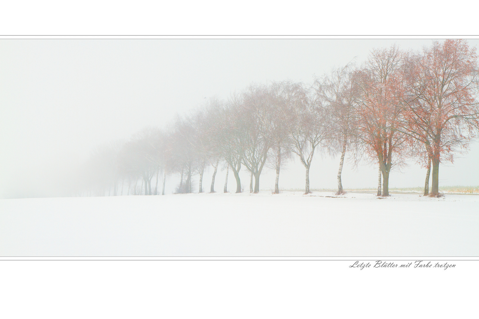 Nebel alles verhüllt