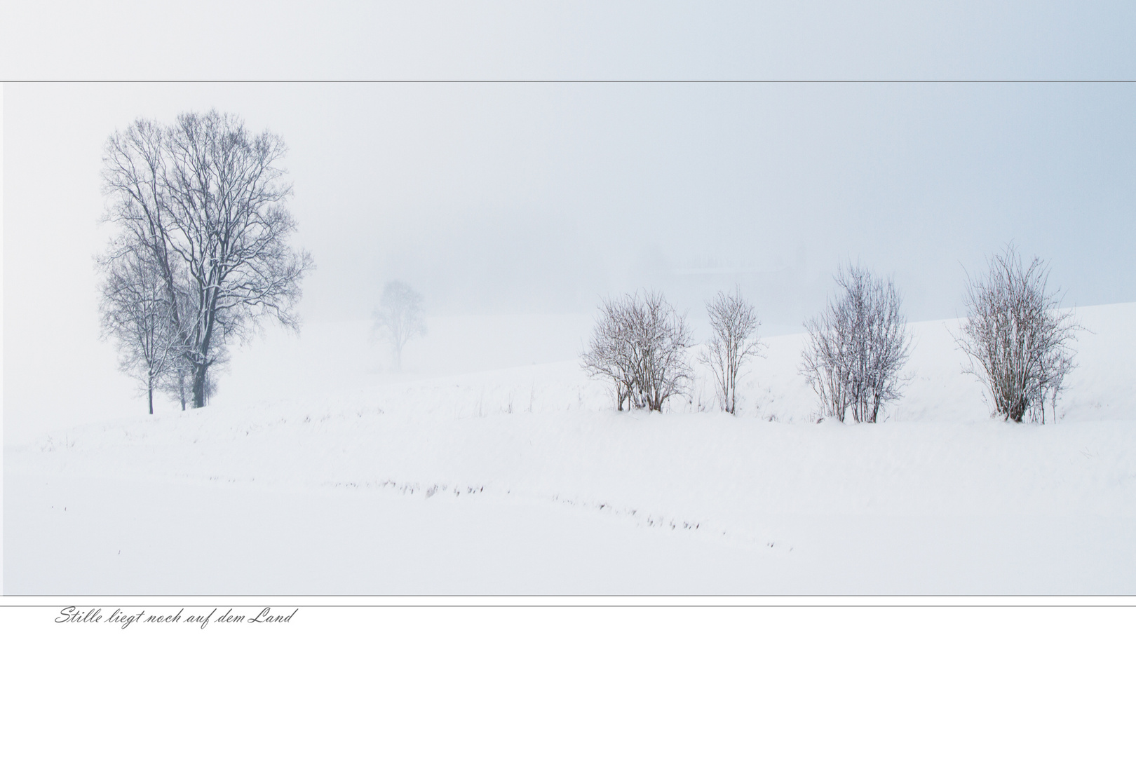 Nebel alles verhüllt