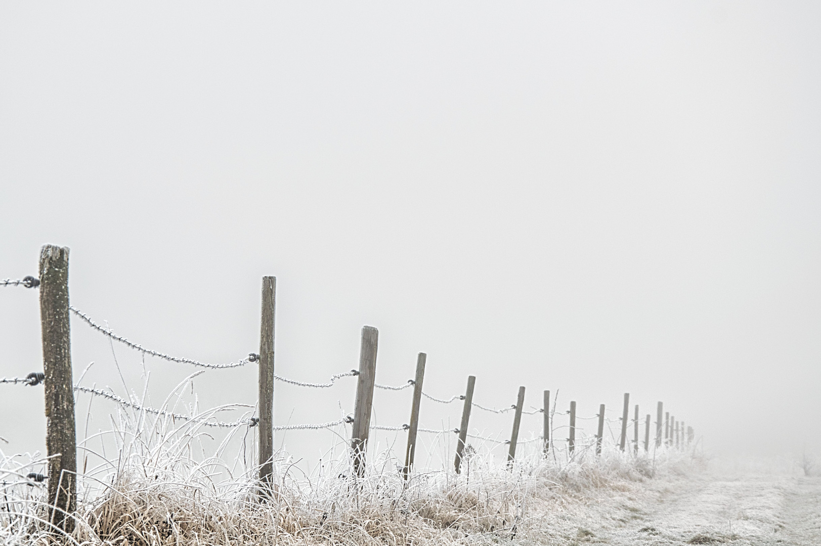 Nebel als Leinwand-(2)