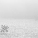 Nebel am 15.12.22 von uns aus