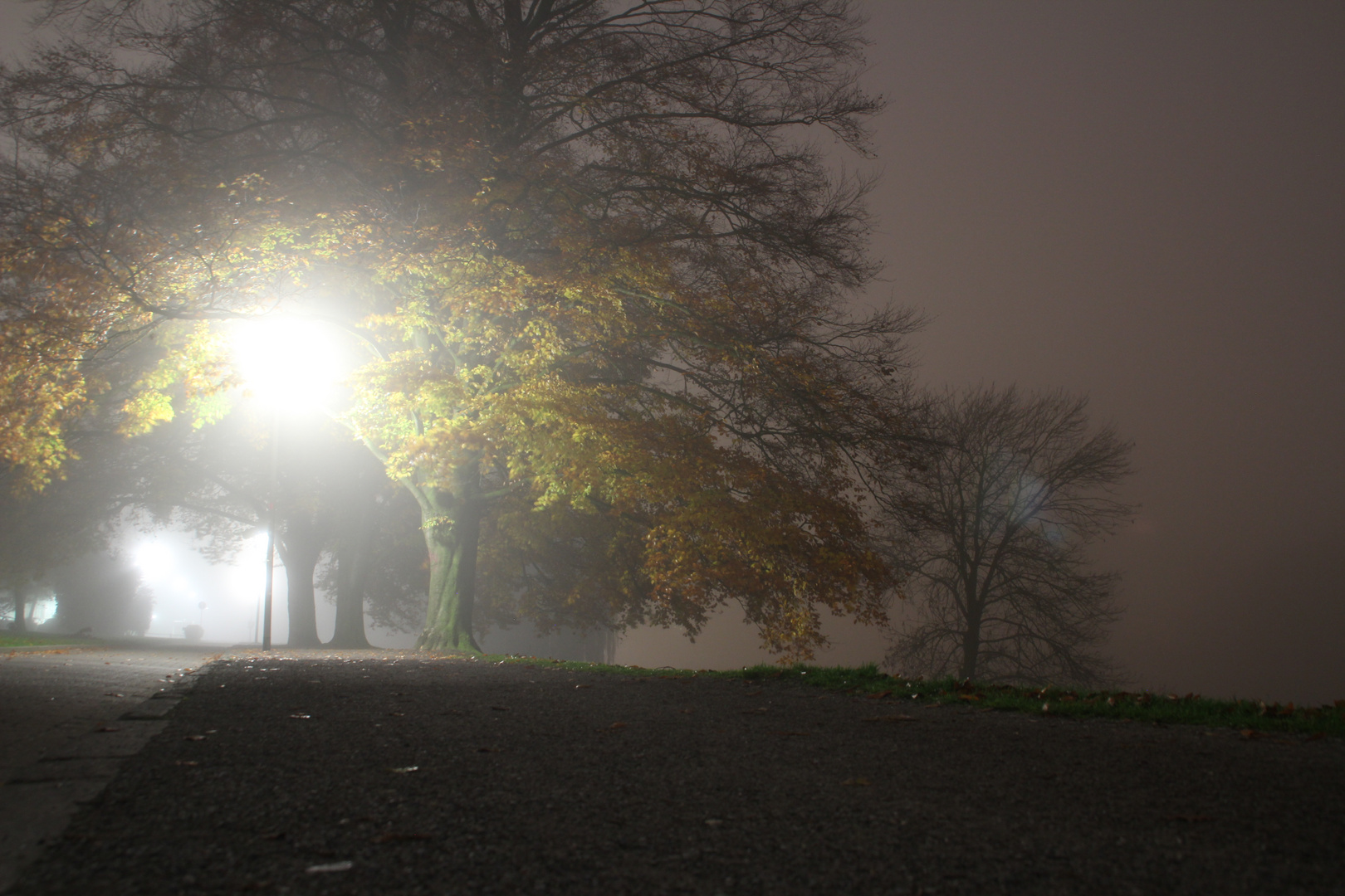 Nebel am Aasee in Münster