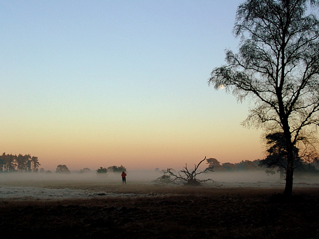 nebel am abend