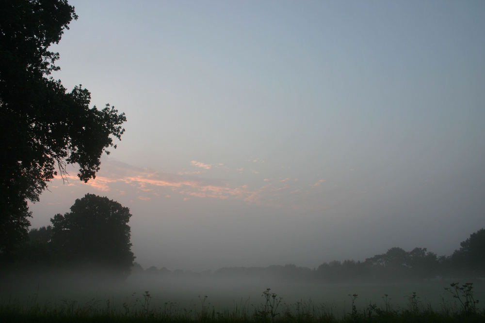 Nebel am Abend