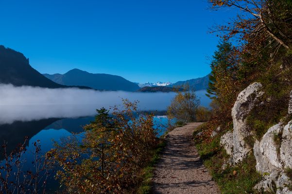Nebel am Altausseersee - Im Hintergrund der Dachstein-Gletscher