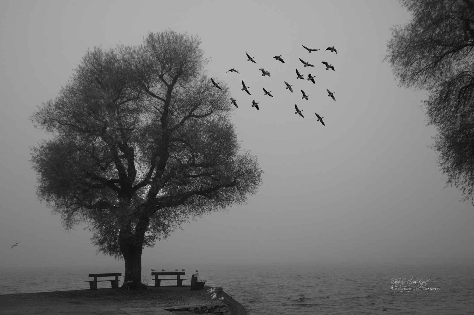 Nebel am Ammersee