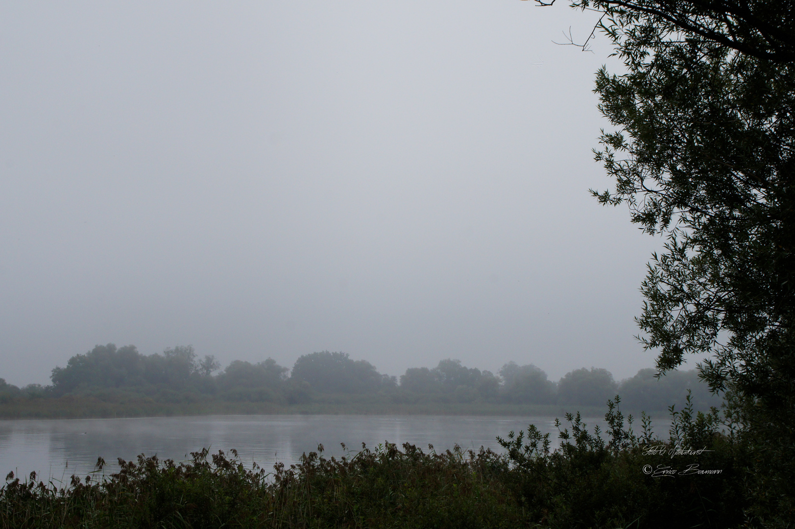 Nebel am Ammersee