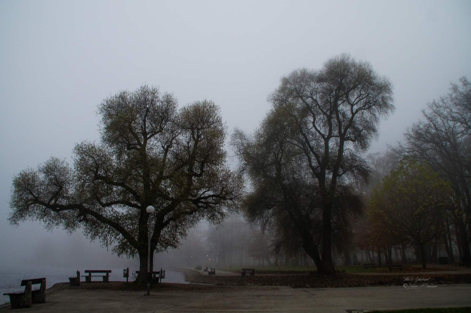 Nebel am Ammersee