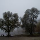 Nebel am Ammersee