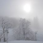 Nebel am Auerberg Teil 1*