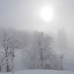 Nebel am Auerberg Teil 1*