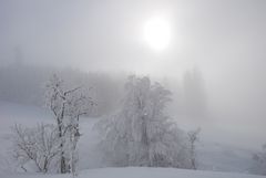 Nebel am Auerberg Teil 1*