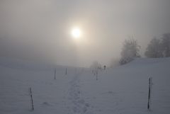 Nebel am Auerberg Teil 5*