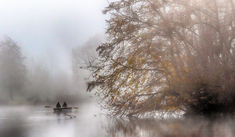 Nebel am Aueweiher