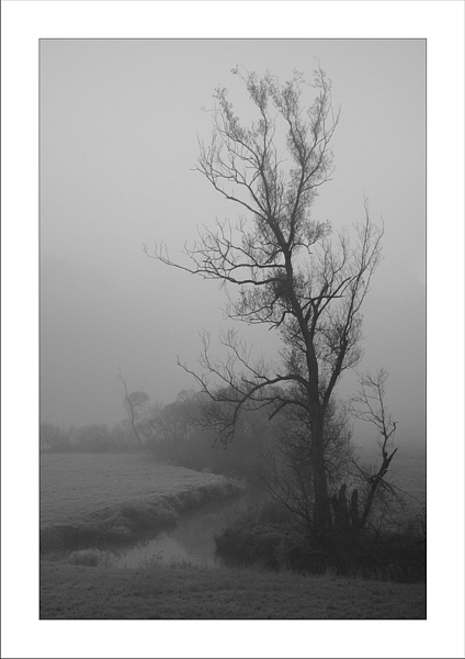 Nebel am Bach von Norbert Traumer