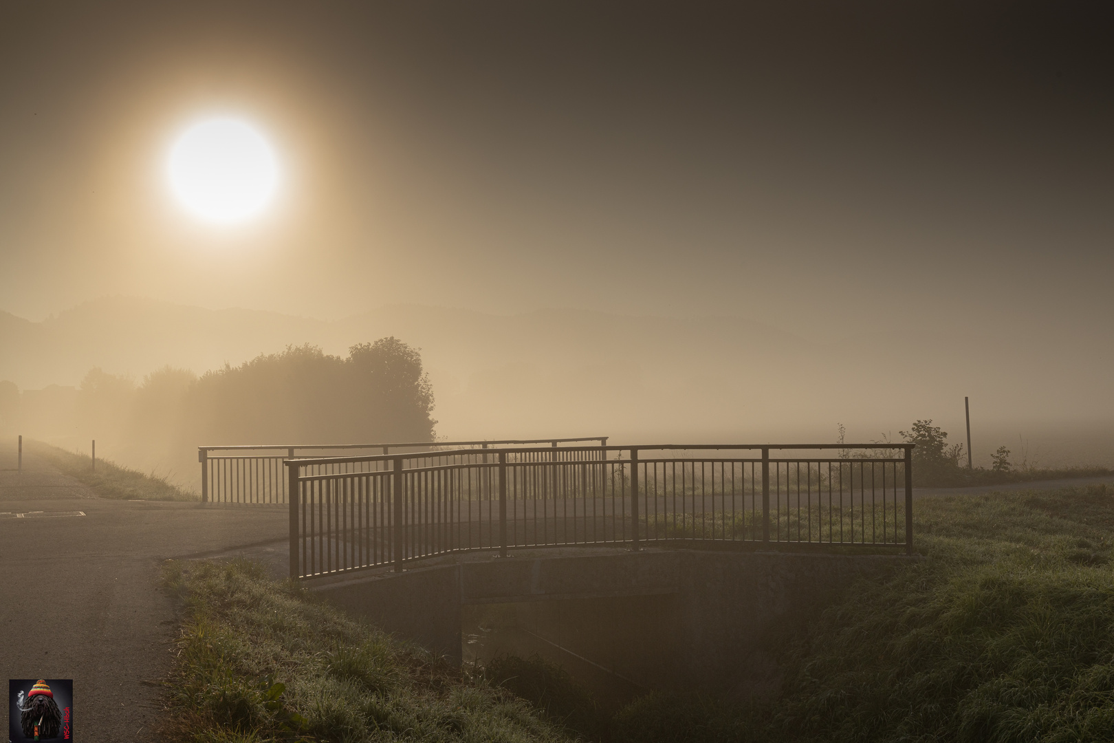 Nebel am Bach