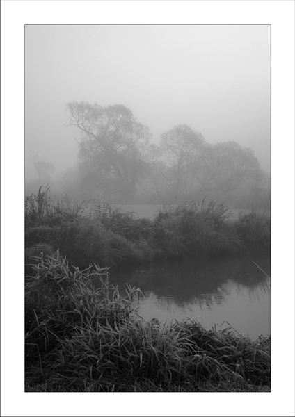 Nebel am Bach2