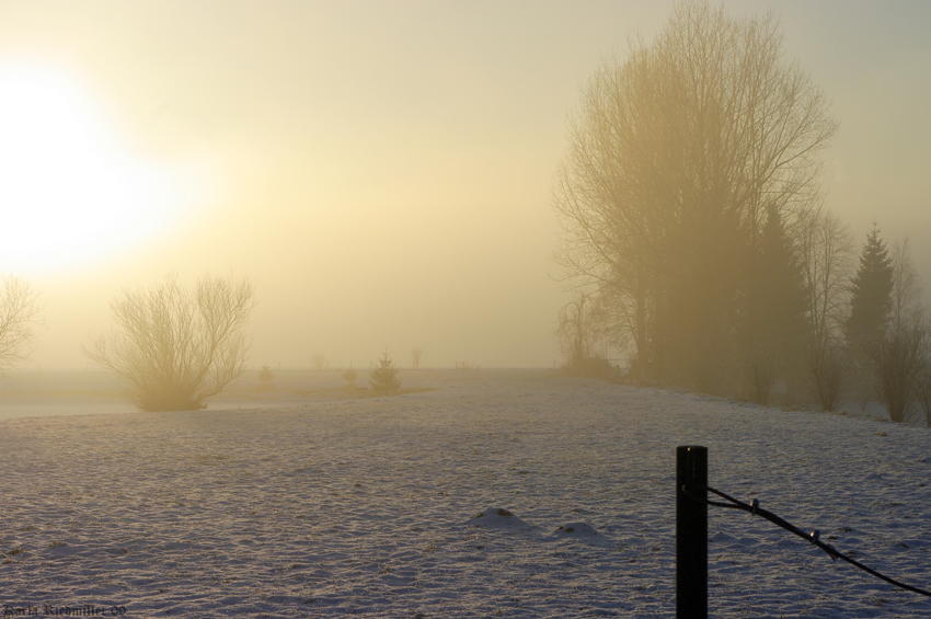 Nebel am Baggersee