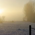 Nebel am Baggersee