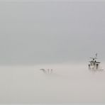 Nebel am Baikal..