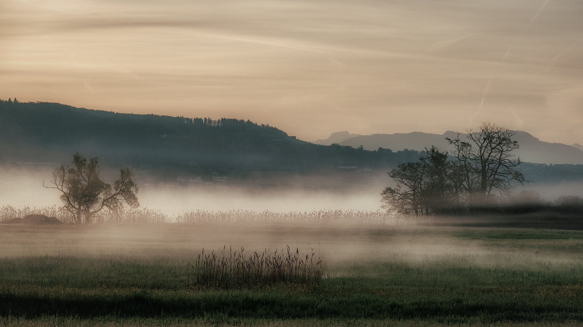 Nebel am Baldeggersee