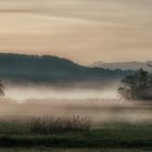 Nebel am Baldeggersee