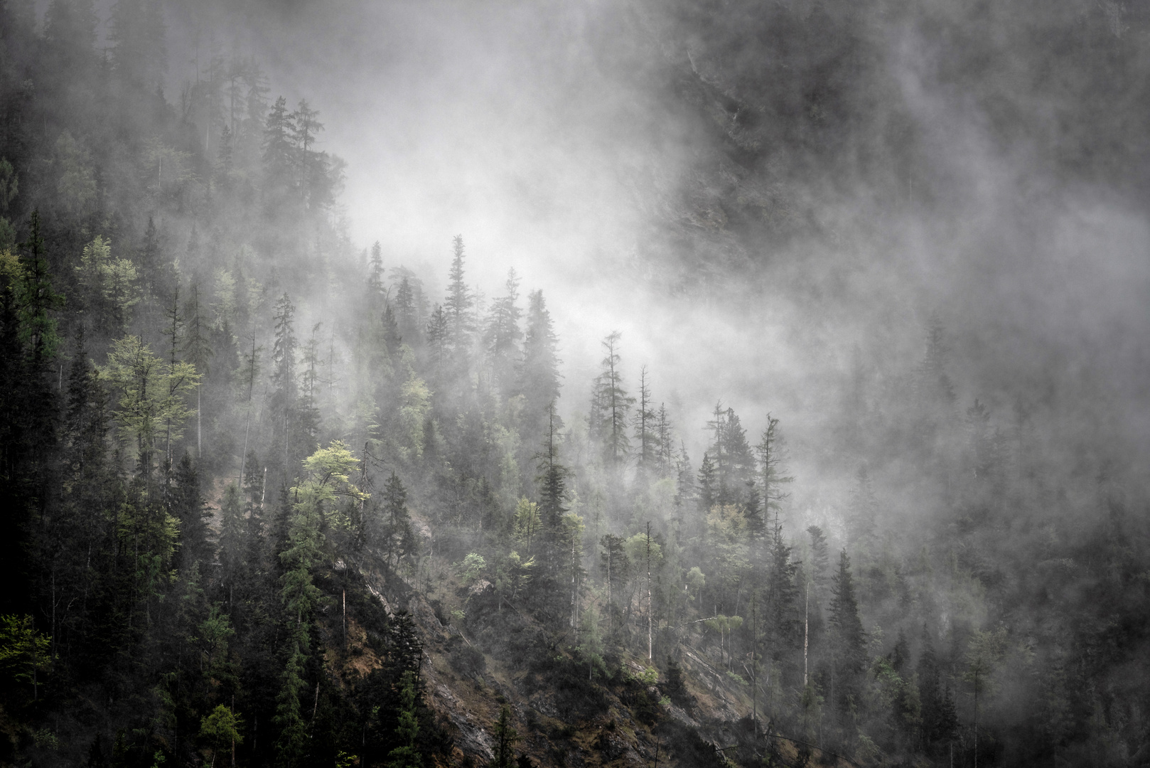 Nebel am Berg