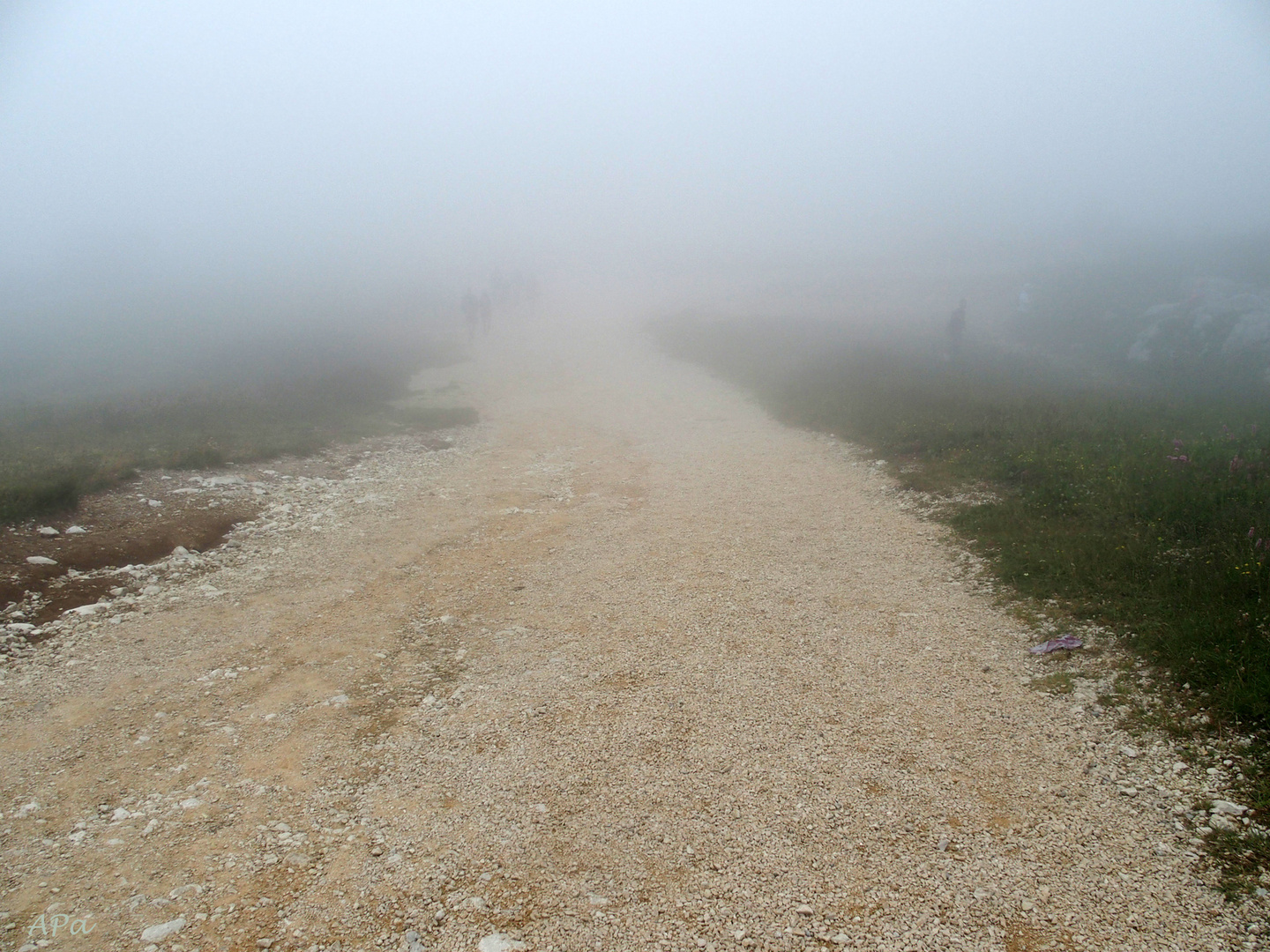 Nebel am Berg...