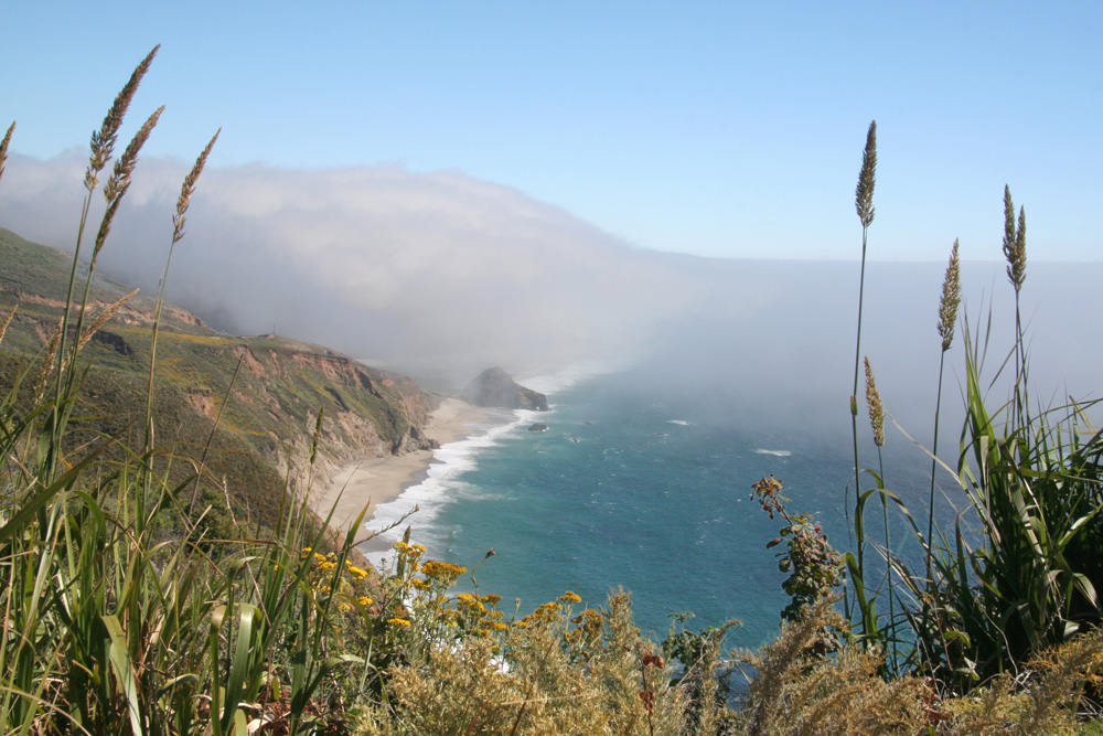 Nebel am Big Sur